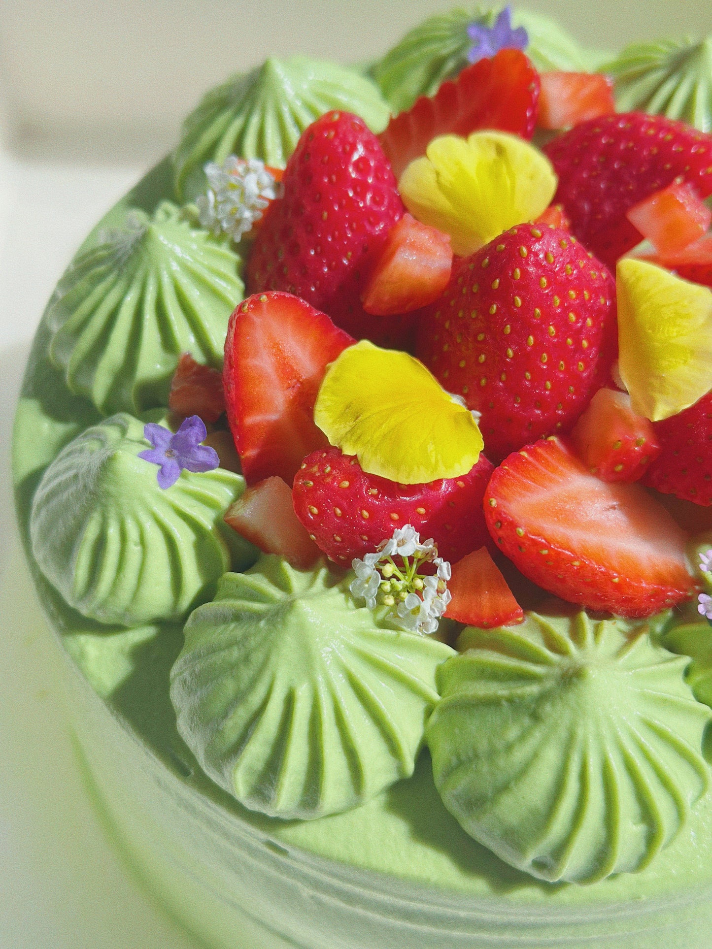 White Chocolate Matcha Chiffon Cake