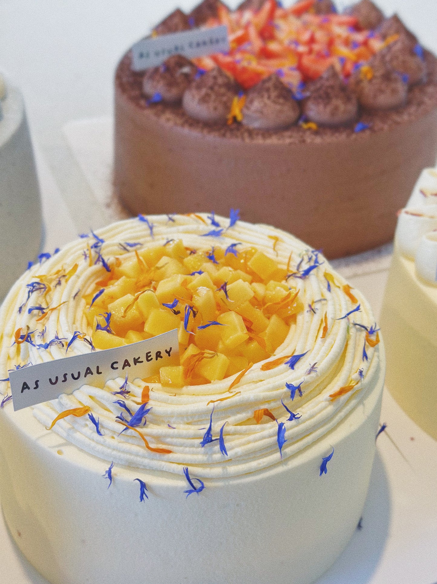 The SOFTEST Mango Cake