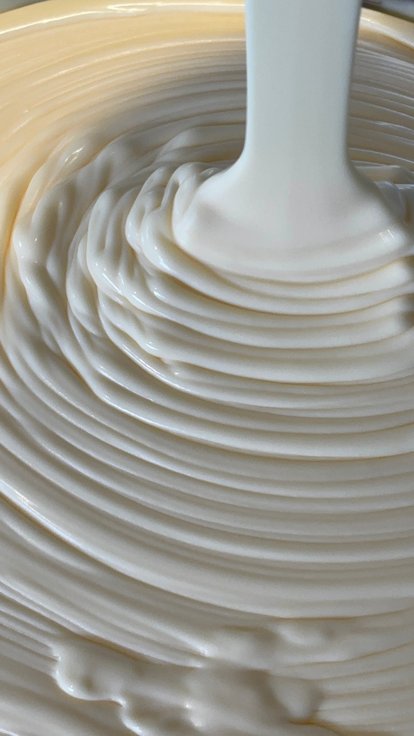 Freezer-Friendly Plain Basque Cheesecake