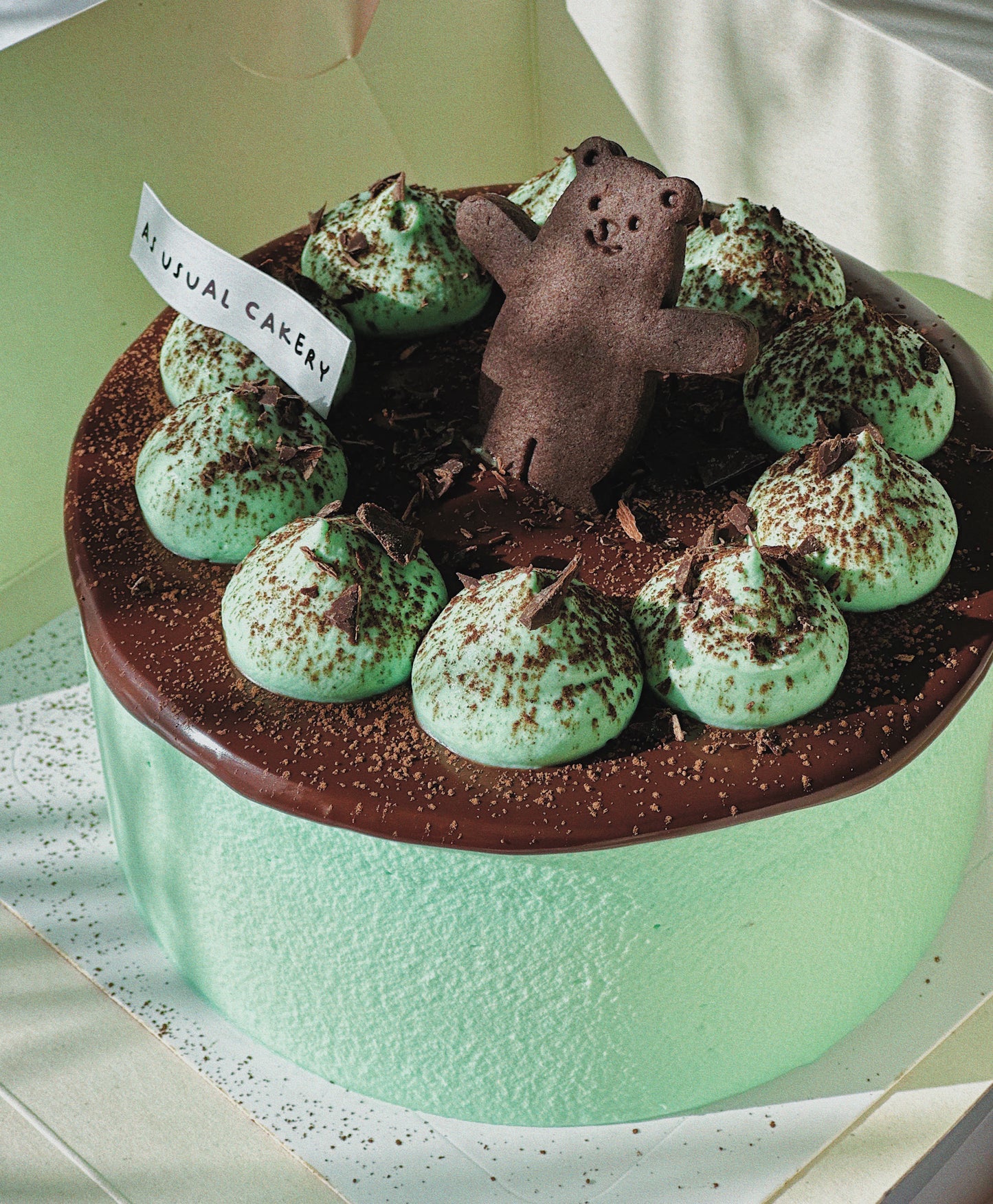Chocolate Mint Chiffon Cream Cake