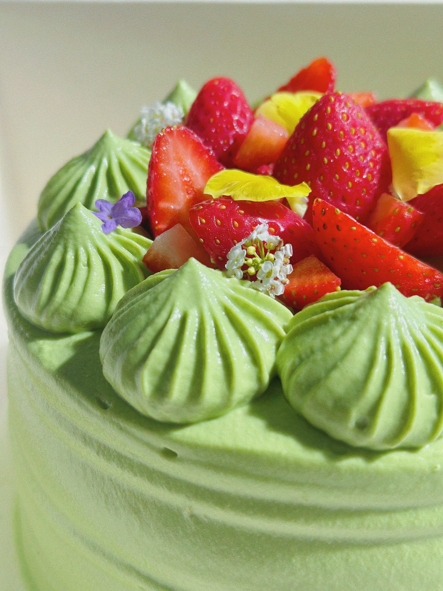 White Chocolate Matcha Chiffon Cake