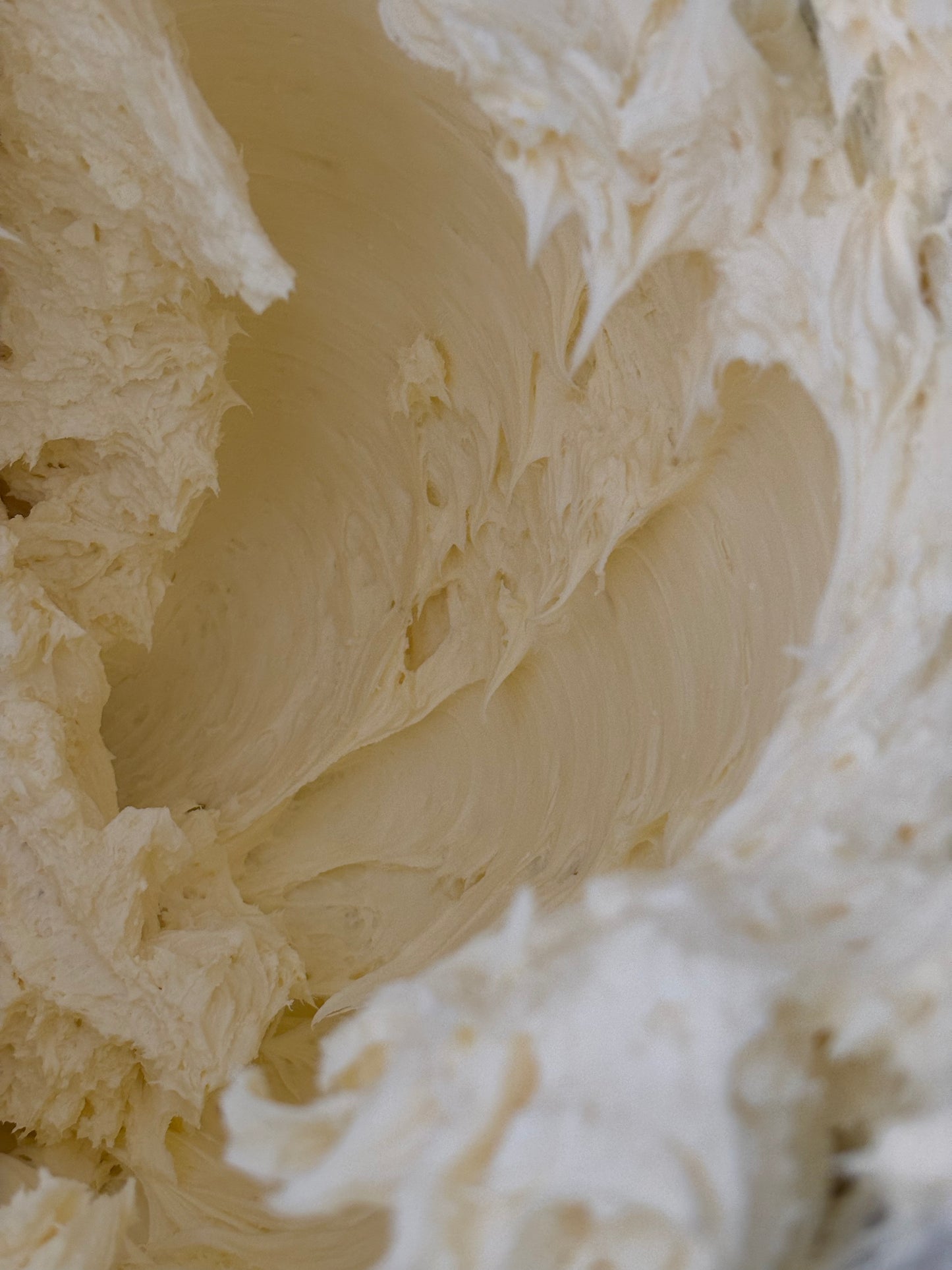 Freezer-Friendly Plain Basque Cheesecake